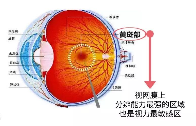 眼科医生提醒:1秒即可造成眼睛永久