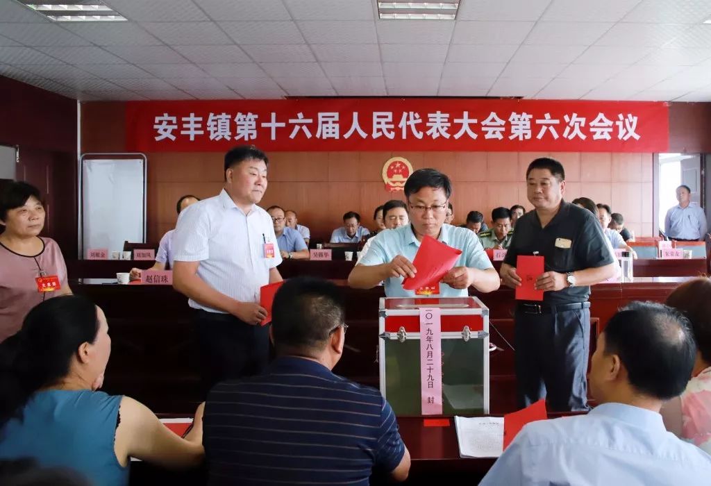 安丰镇经济总量_经济图片(2)