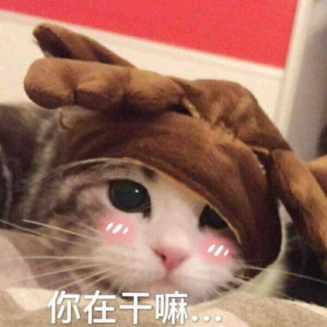 83193255787b4c379562a325dc597832.jpeg