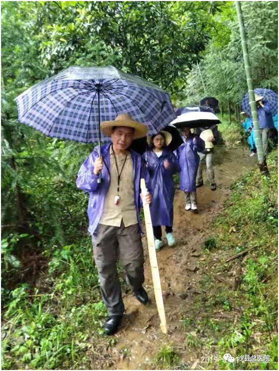 什么情况一群沙县中医人跋山涉水遍地寻宝