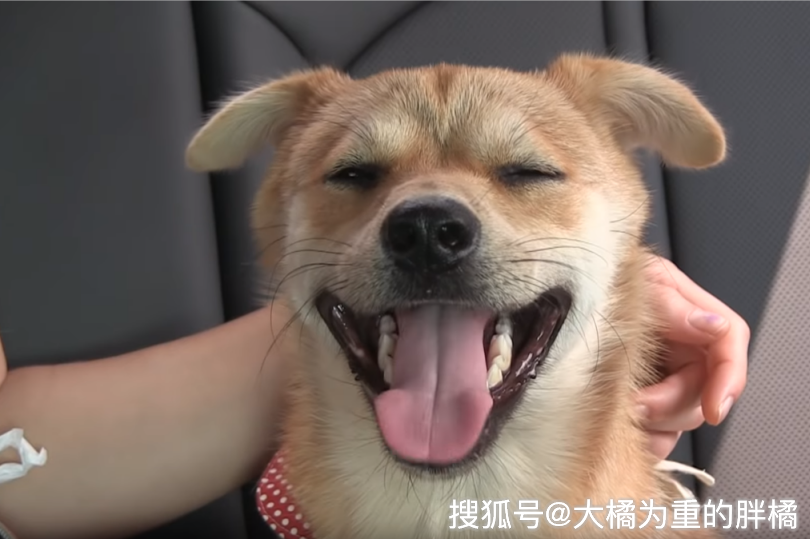 a4d9a1e0f0b14bda893941b287cff553.png