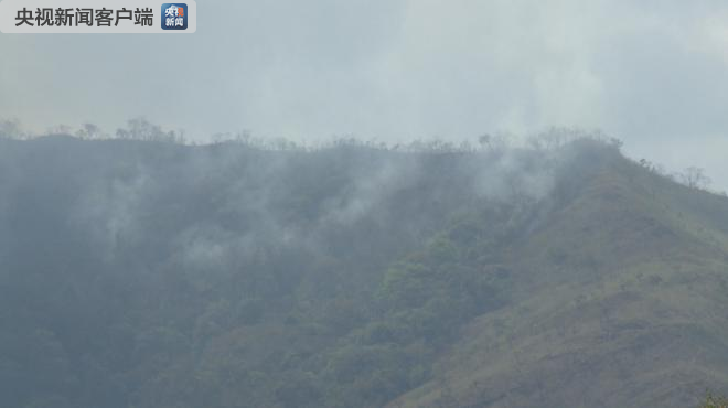 亚马孙雨林大火至今无明显缓解新的火情仍在不断出现