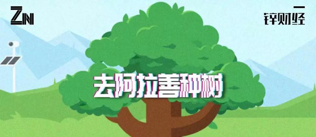 蚂蚁森林三周年:我们一起去阿拉善种树