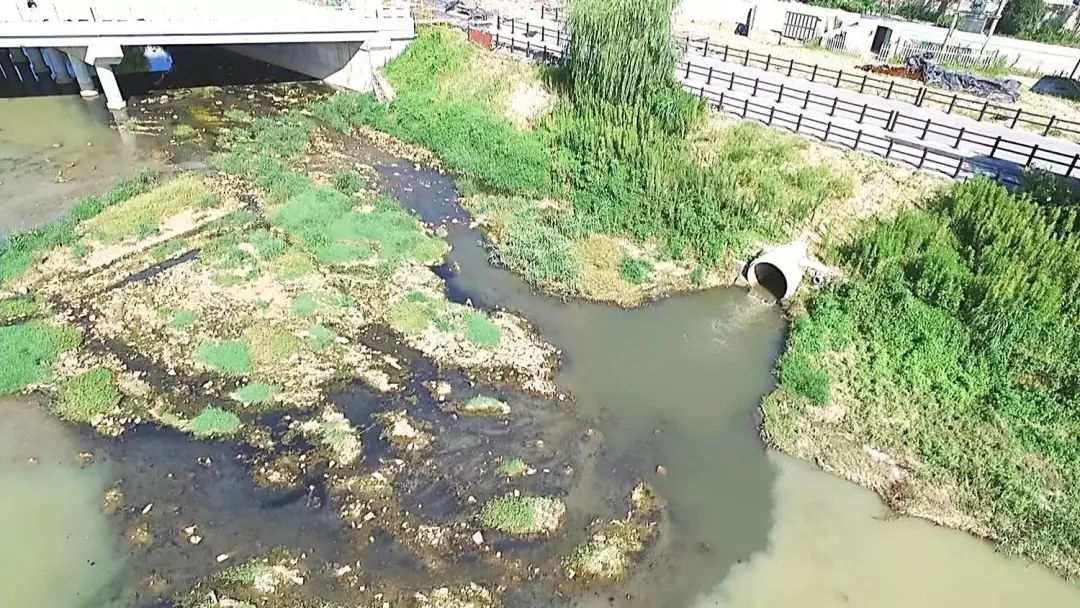 【今晚播出】宁海县:多股污水直排颜公河