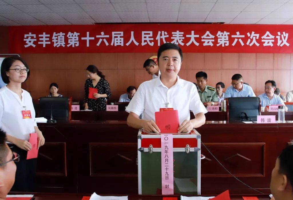 安丰镇经济总量_经济图片(2)