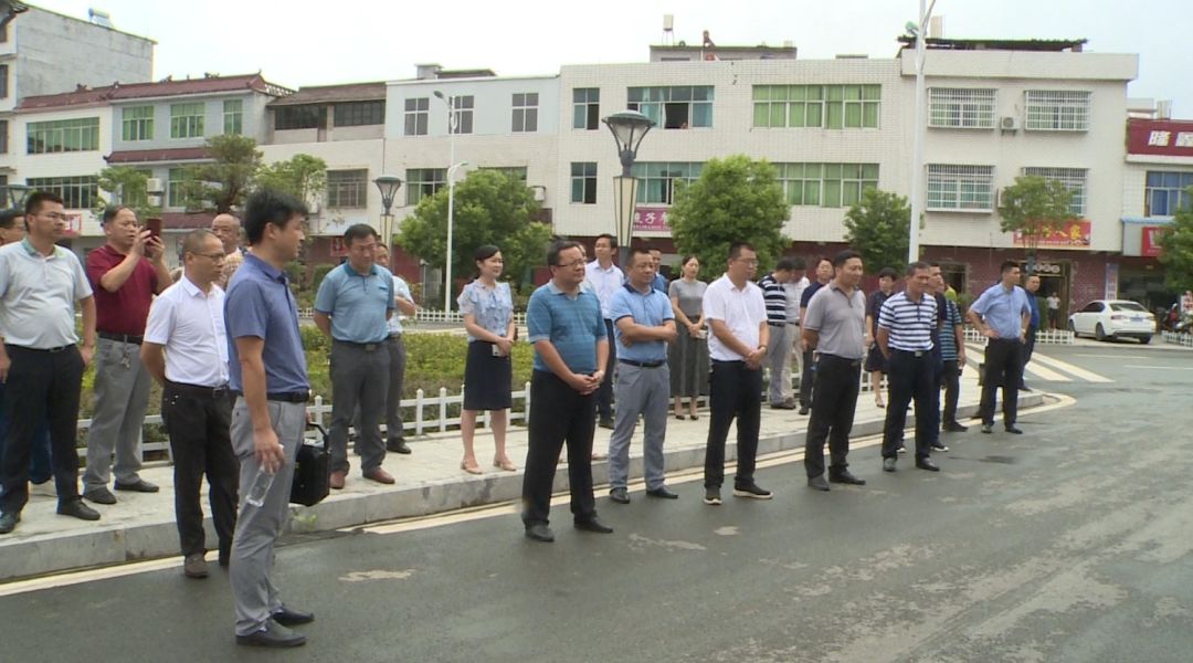 我县组团到罗田县河铺镇取经助力小城镇建设