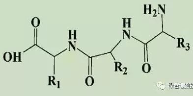 酪蛋白分子式图片摘自文献氨基酸 稀土离子:稀土离子对金属腐蚀有较