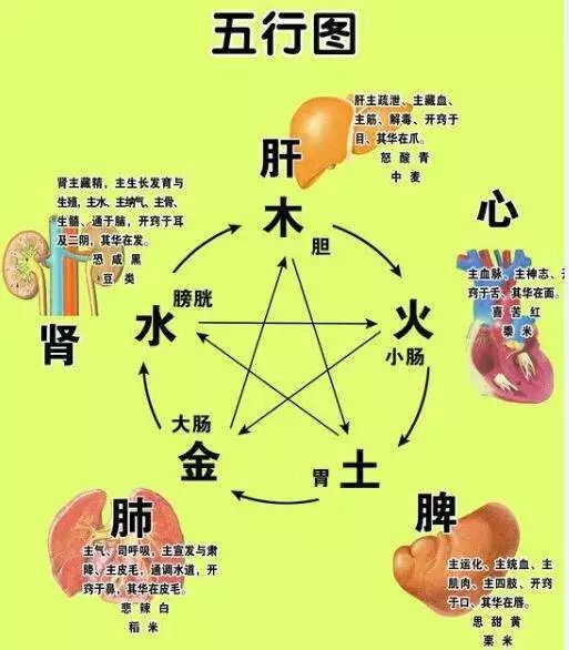 什么叫五行属金 ca56edfaae4549dda2c8c2d12e1fd4e4.jpeg