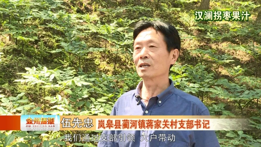 岚皋县蔺河镇蒋家关村支部书记 伍先忠我们通过支部引领,大户带动