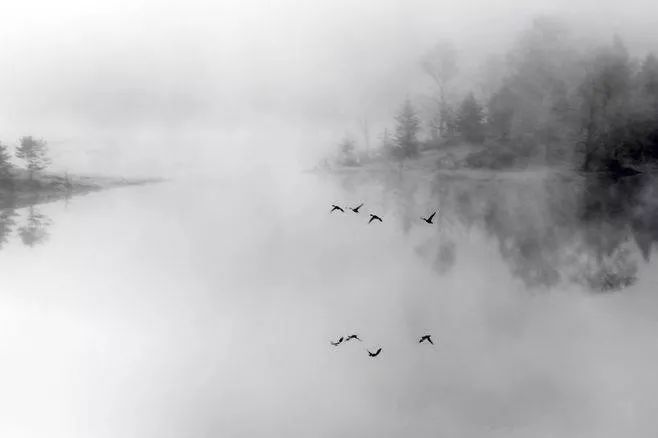 宛如绿色,希望之歌-2019第三届山一启程!