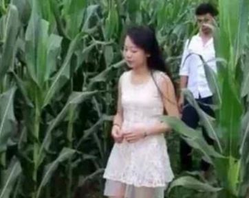 搞笑gif:妹子,你又来俺家地里偷玉米,这次终于逮着了