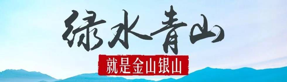 绿水青山就是金山银山