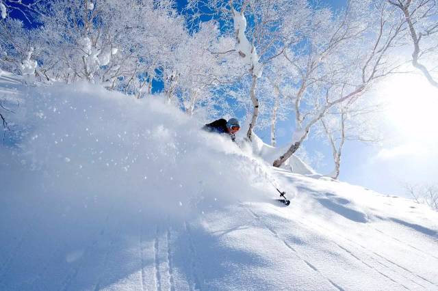 粉雪之约 阿司匹林 粉雪的故乡 日本安比高原