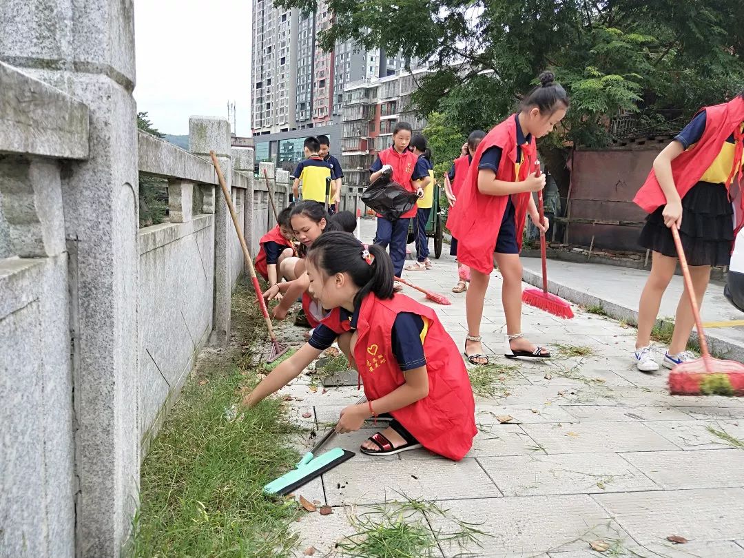 4 —————— 小志愿者们正在认真地清除杂草和捡拾垃圾,他们像是