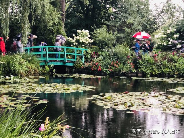 什么是莫奈花园 094aee9830fe466aa051bd7be5952700.jpeg