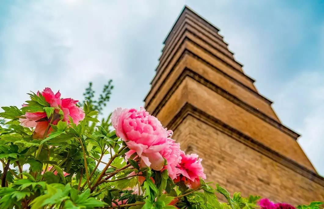 牡丹区GDP2020_菏泽牡丹区2020规划图