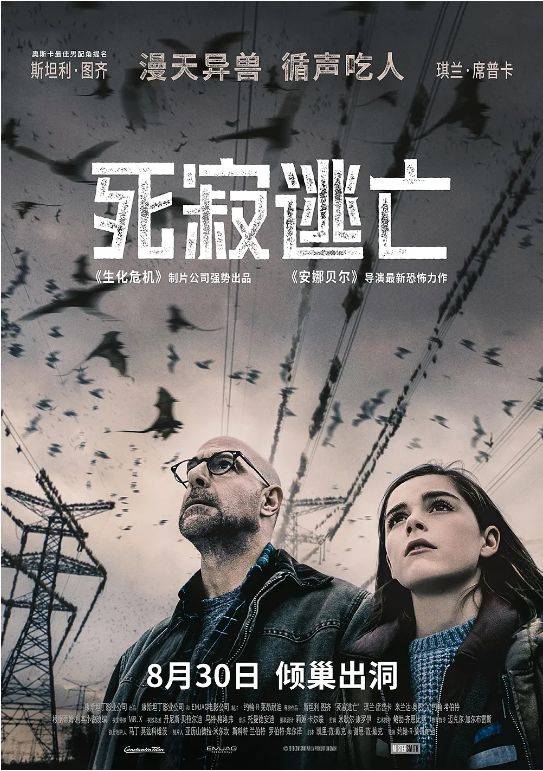 本周电影推荐《铤而走险》《深夜食堂》《女王的柯基》.