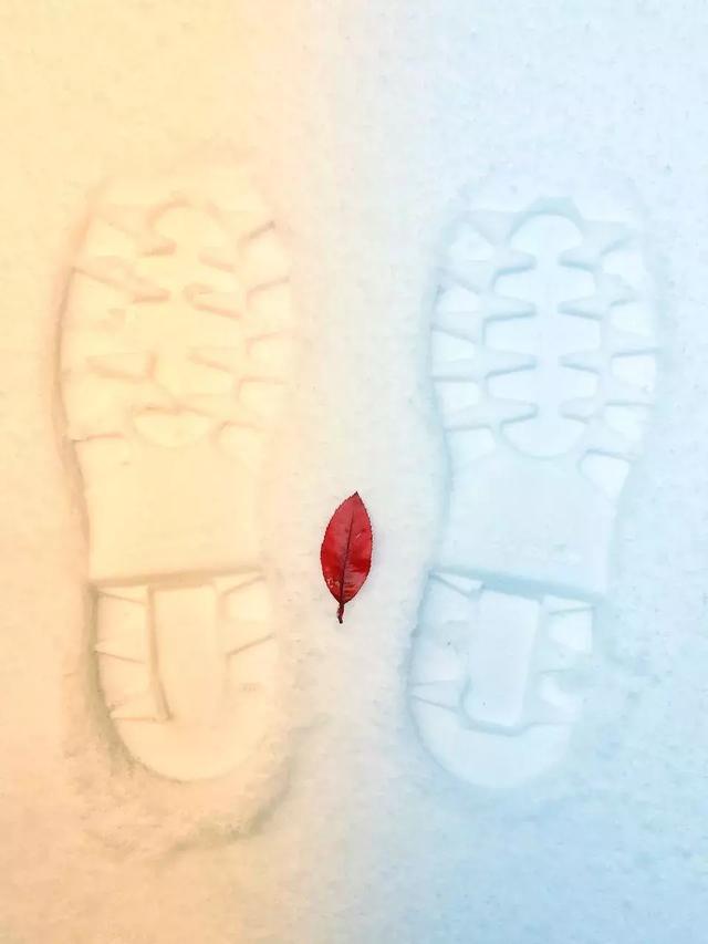 985\/211和普通本科的真正区别不是名校光环,而