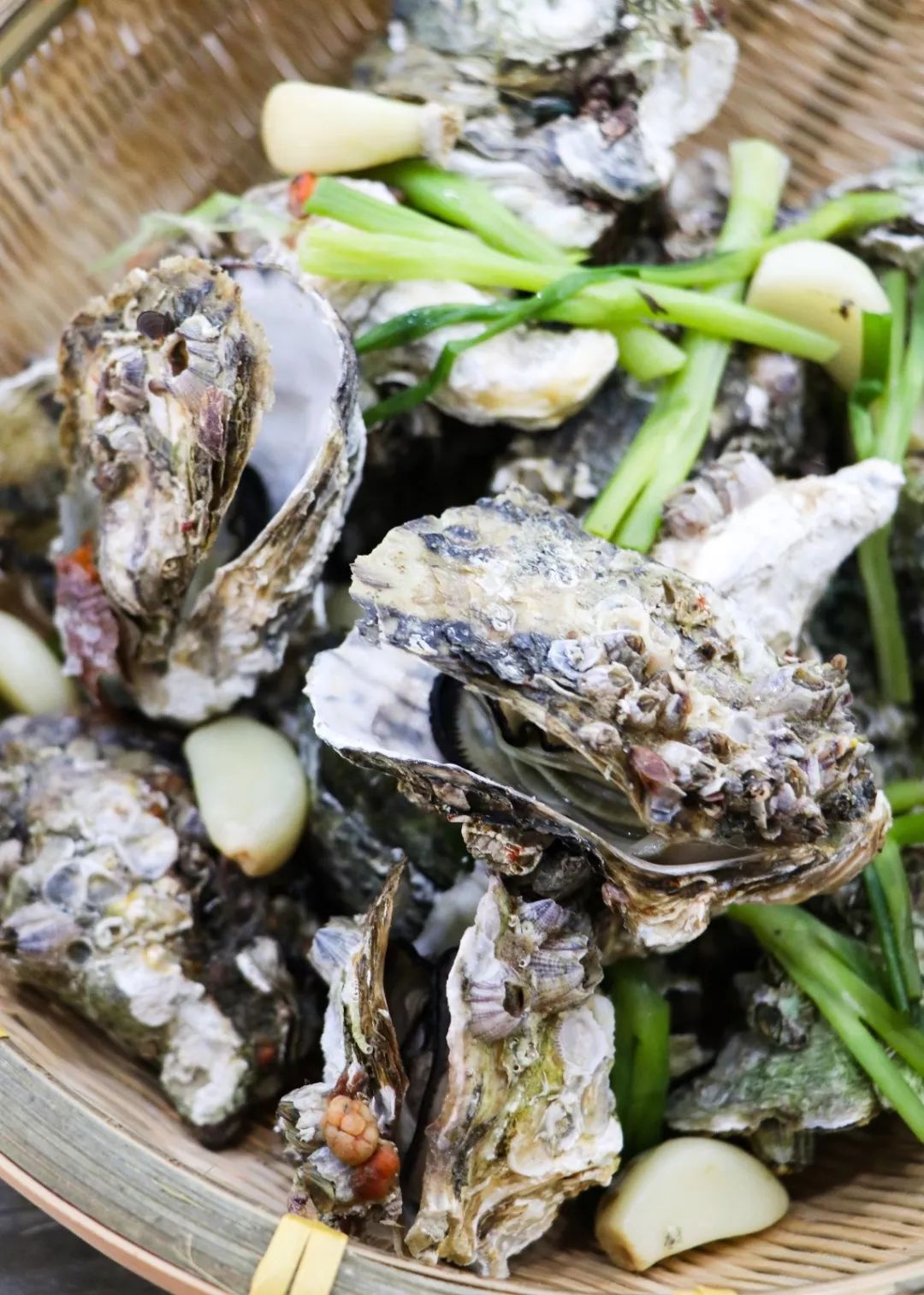 自己在家怎么开生蚝没有蚝刀 240ff120389146068a2f65fc2cbe836b.jpeg