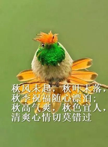 道一声祝福在你耳边,愿你身体是健康平安的,心情是平和愉悦的,日子是
