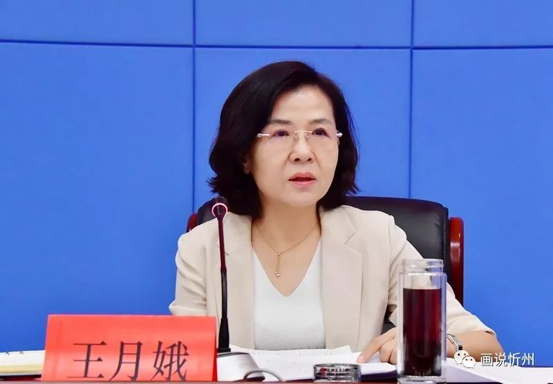 忻州市人民政府副市长王月娥讲话