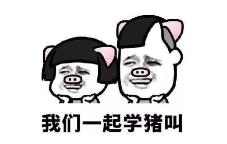 租友变狱友 真是猪队友