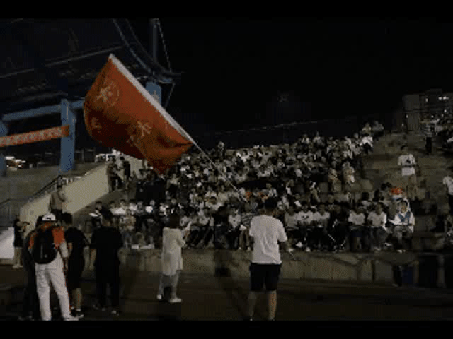 小编为你们打call!