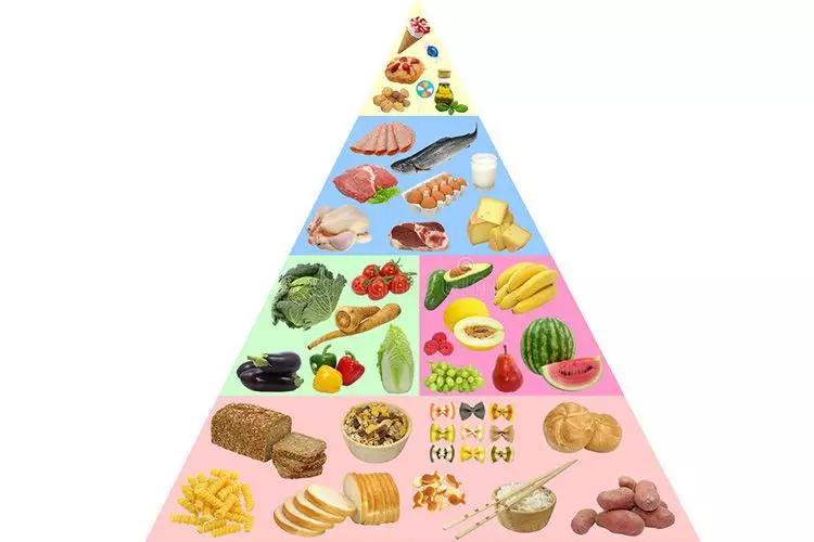 食物金字塔小班教案设计