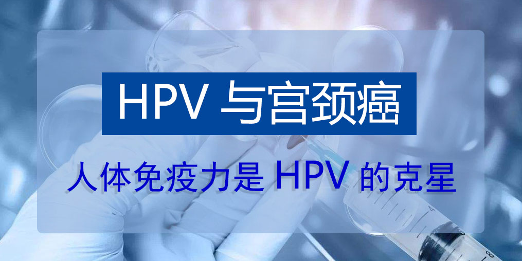 对付hpv病毒,关键在于免疫力!