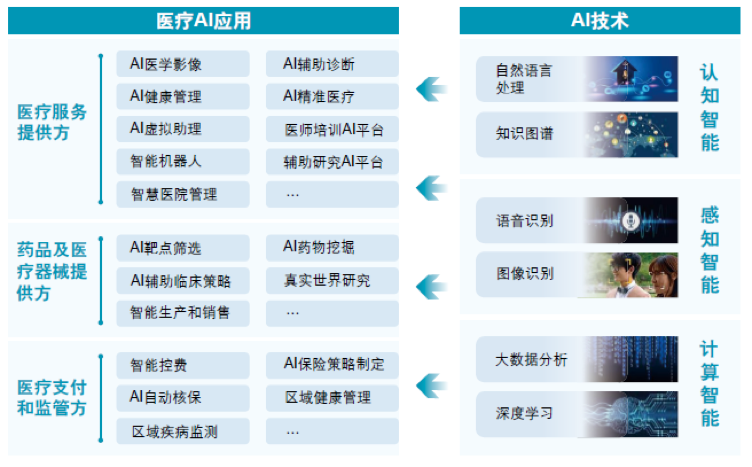 屠呦呦团队科学家：将AI引入青蒿素研究，有望降低药物研发成本