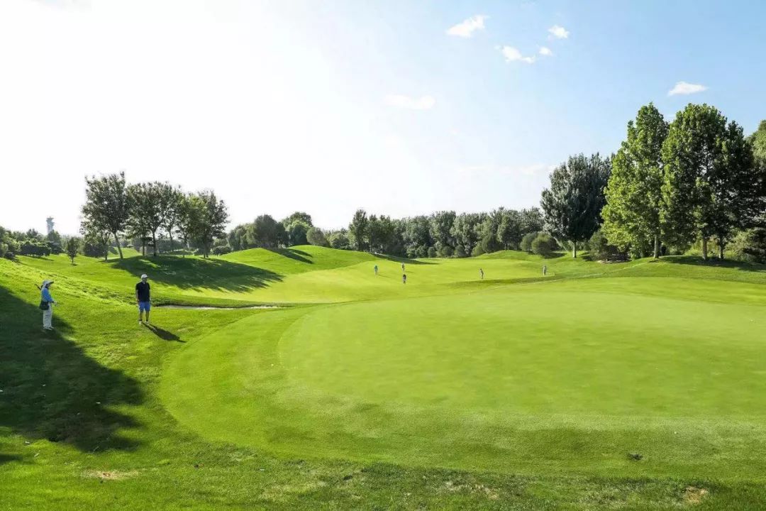 兄弟情 旅业义 2019中国旅行社协会高尔夫邀