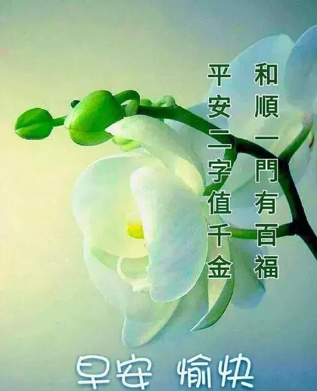 早晨,第一个问候送给你,让你有个好心情,早晨好