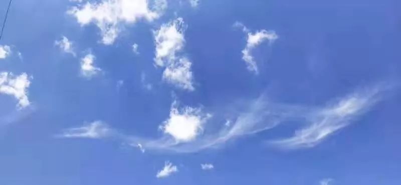 65c682a9a4e540c0b825f22441eeefc6.jpeg