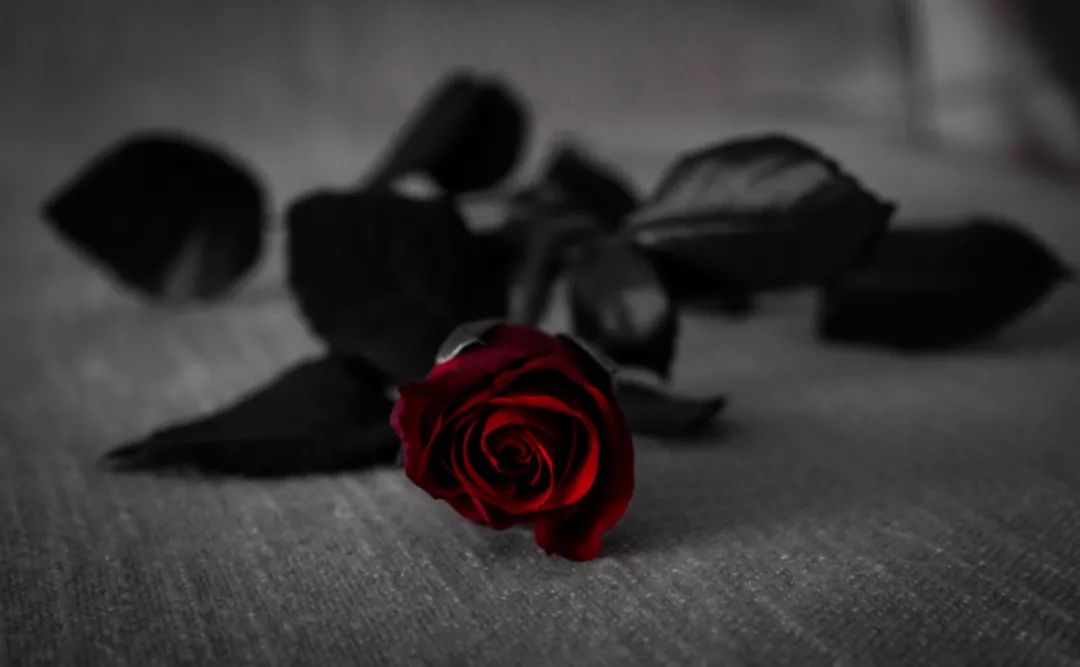 726a3948f4f64341a6fb33458f7199c8.jpeg