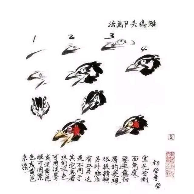 国画技法工笔雉鸡基础画法步骤详解