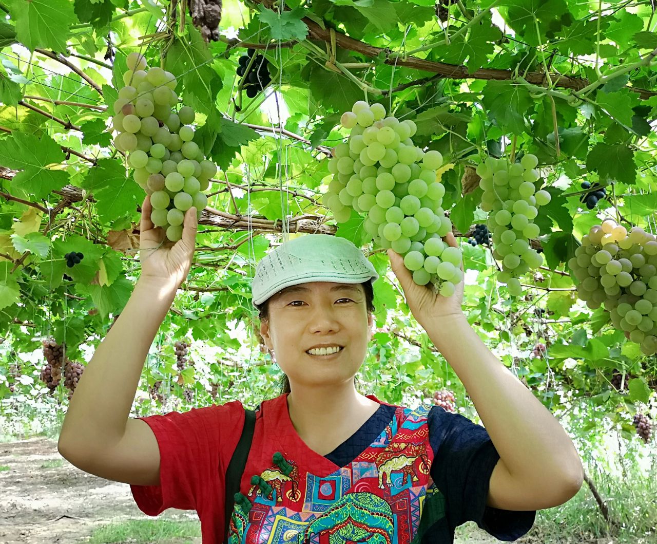 廊坊有这么多好玩的地方，北京人都不知道