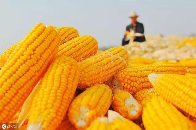 8025f82f67e046c5b50fd5ed4195aada.jpeg