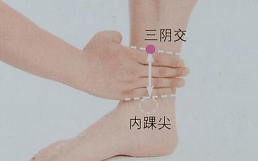 脾经管腹部,下肢,三阴交属足太阴脾经穴. 位于人体下肢穴位.