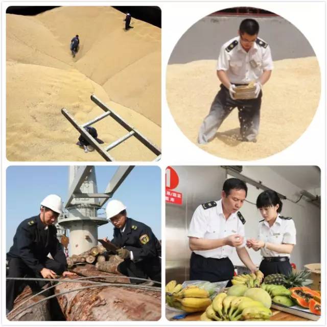 王泽铺昆虫讲堂:昆虫形态学 | 告诉你大自然多奇妙
