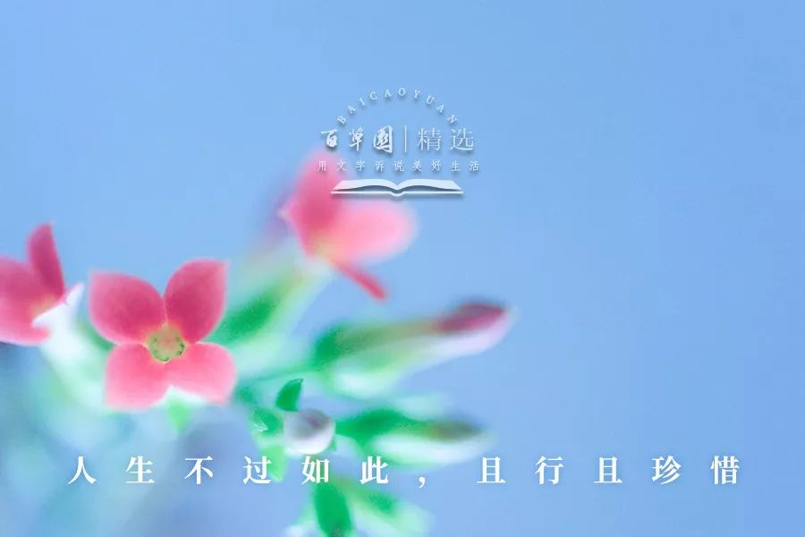 夜读人生不过如此且行且珍惜