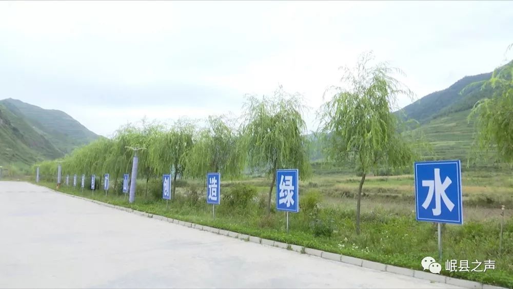 绿水青山就是金山银山 | 全市绿色矿山建设现场会在岷县召开