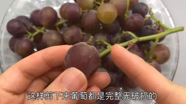 如何正确的洗葡萄 9a4647906012441c827b38af2ddd99d9.jpeg