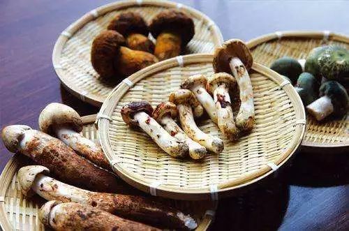 中医助理医师考点:清虚热药的功效与作用