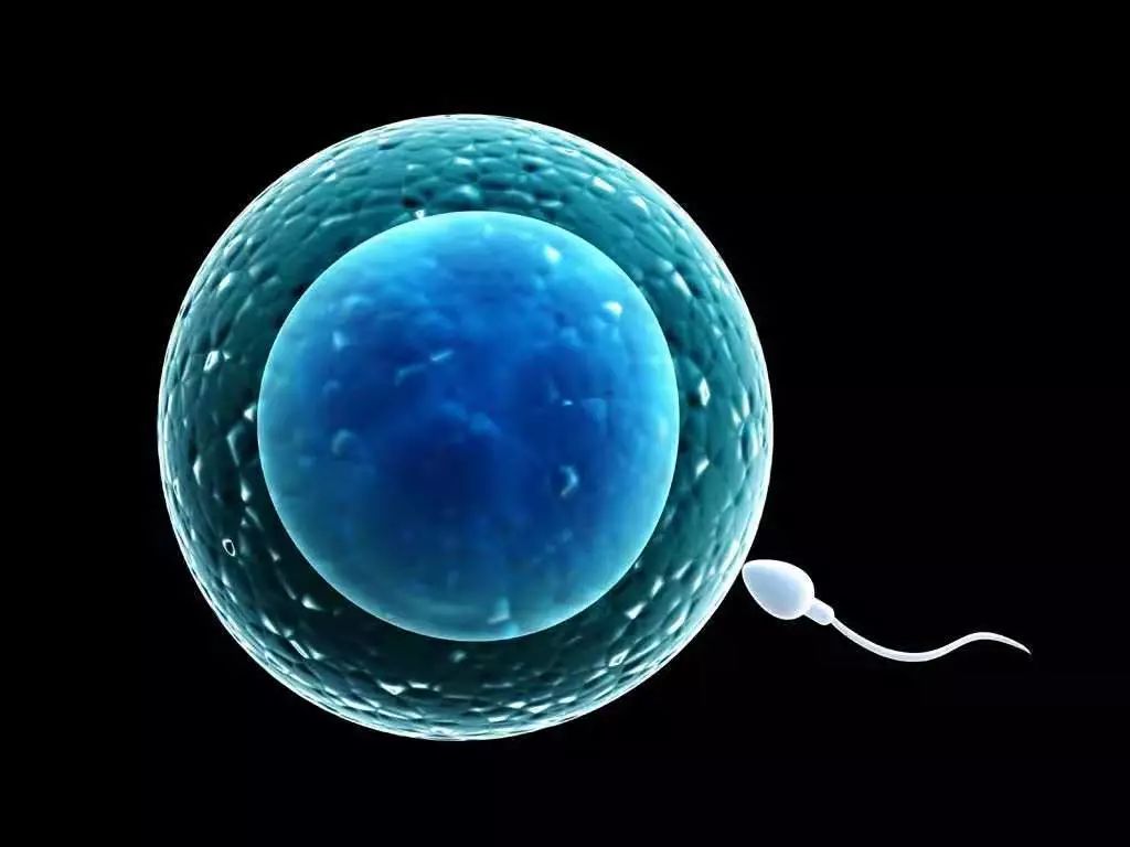 a235c6aab4e4483eae10ac1640ec32fa.jpeg