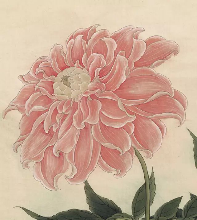 中国十大二胡名曲欣赏