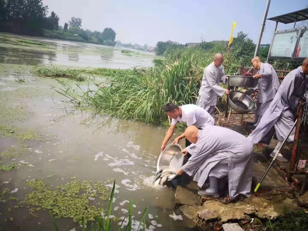 【千场放生】无量心灯全国共修—第260场放生圆满举行