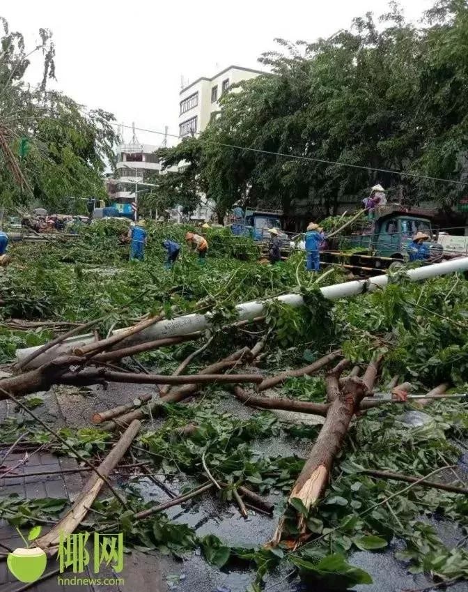 龙卷风后续丨儋州,屯昌,白沙三市县遭袭!受灾人数超过500人!