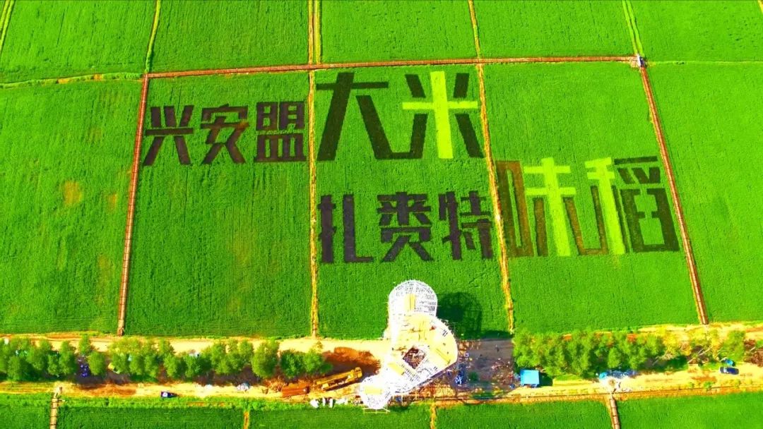 站在观景台上放眼望去,"祖国我是你的骄傲""兴安盟大米扎赉特味道"等