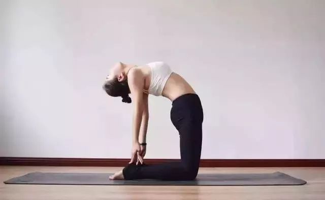 cf87917e3b78401c9f6fa6593517be33.jpeg