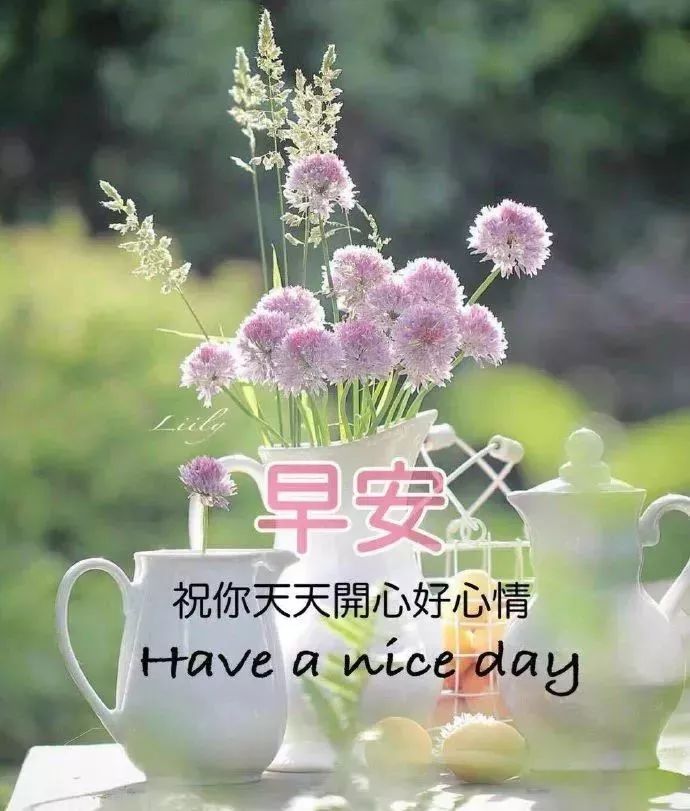 ͼƬ´ڴ򿪲鿴